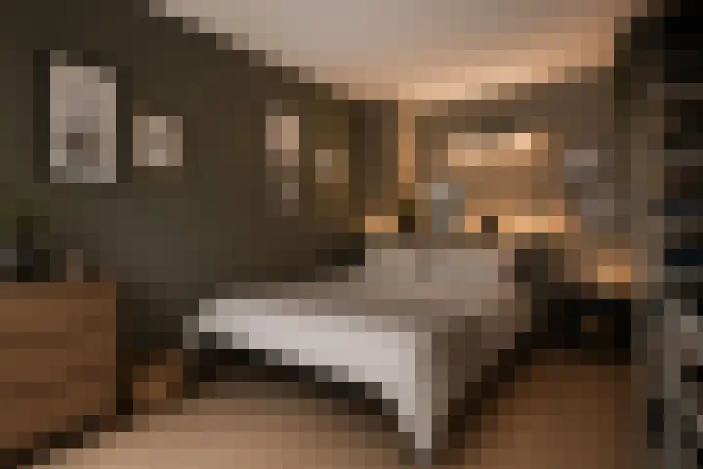 Mauvezand 16 Laren thumbnail 6