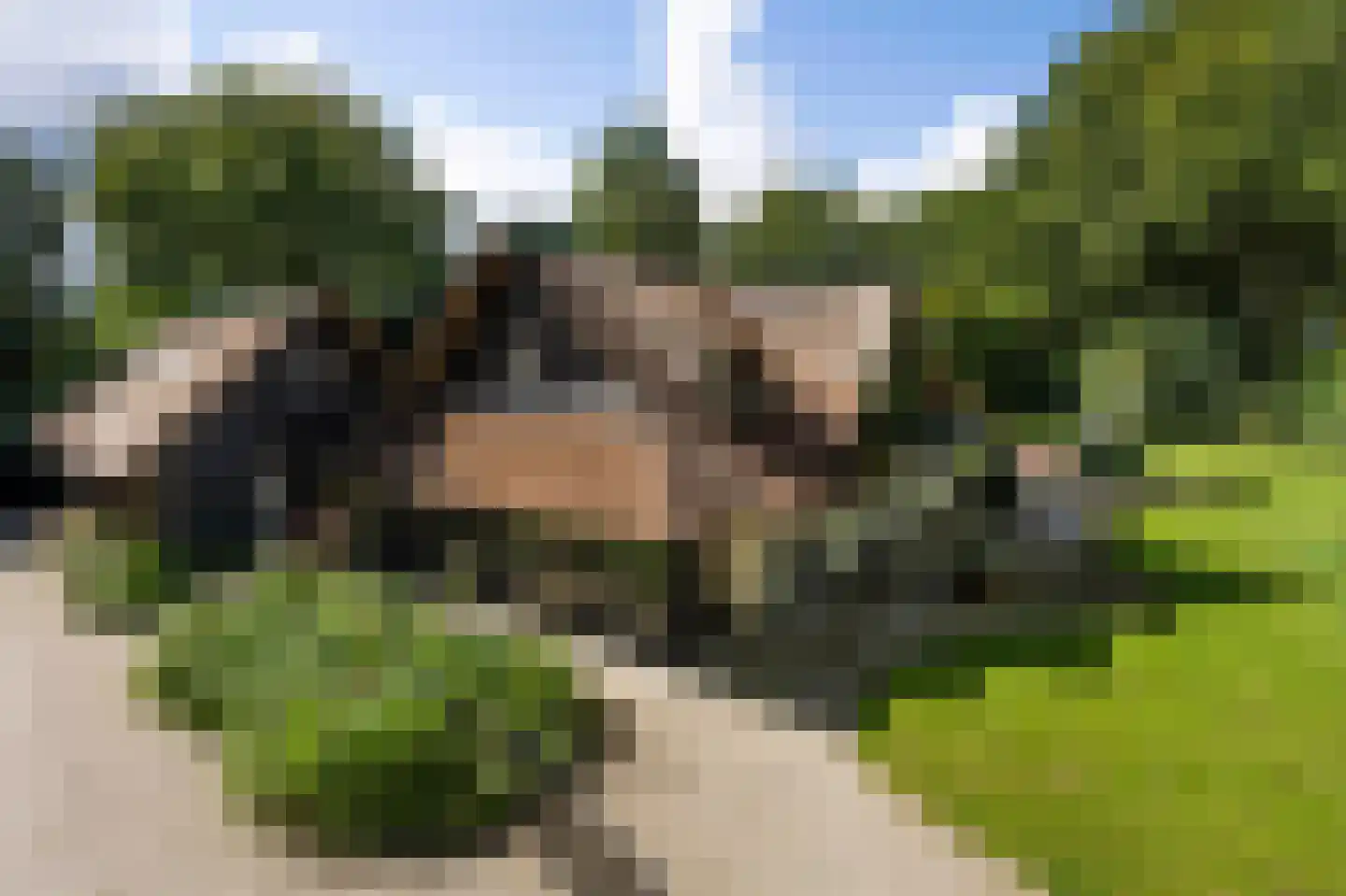 Mauvezand 54 Laren thumbnail 4