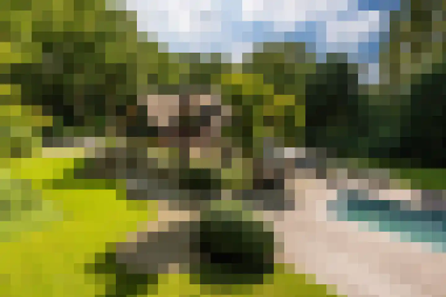 Mauvezand 54 Laren thumbnail 47