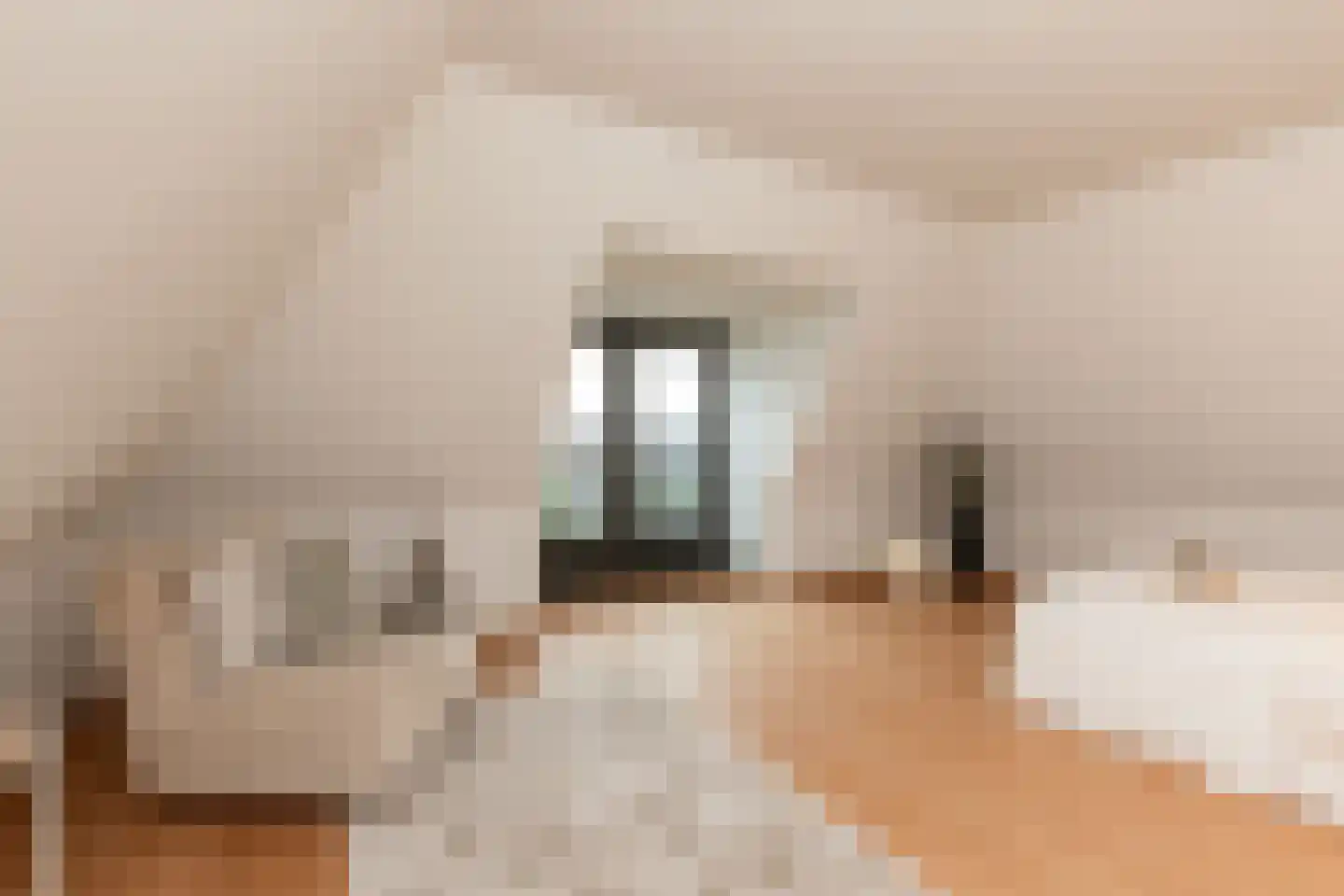 Max Bornstraat 8 Almere thumbnail 64
