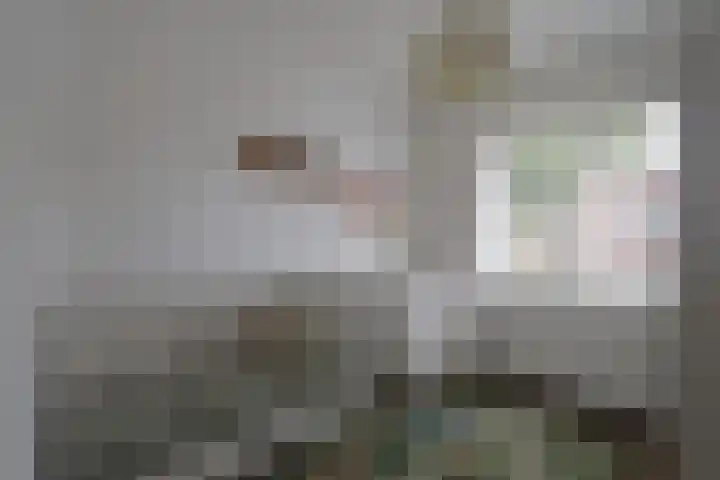 Max de Haasstraat 15 Amsterdam thumbnail 18