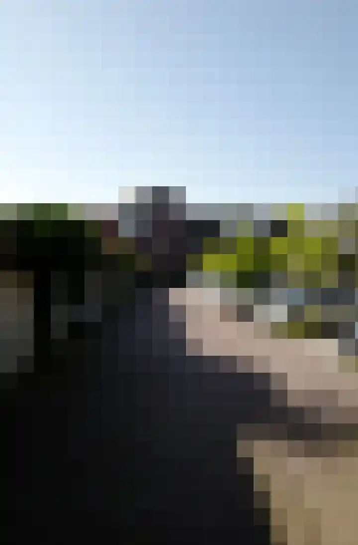 Max de Haasstraat 15 Amsterdam thumbnail 31