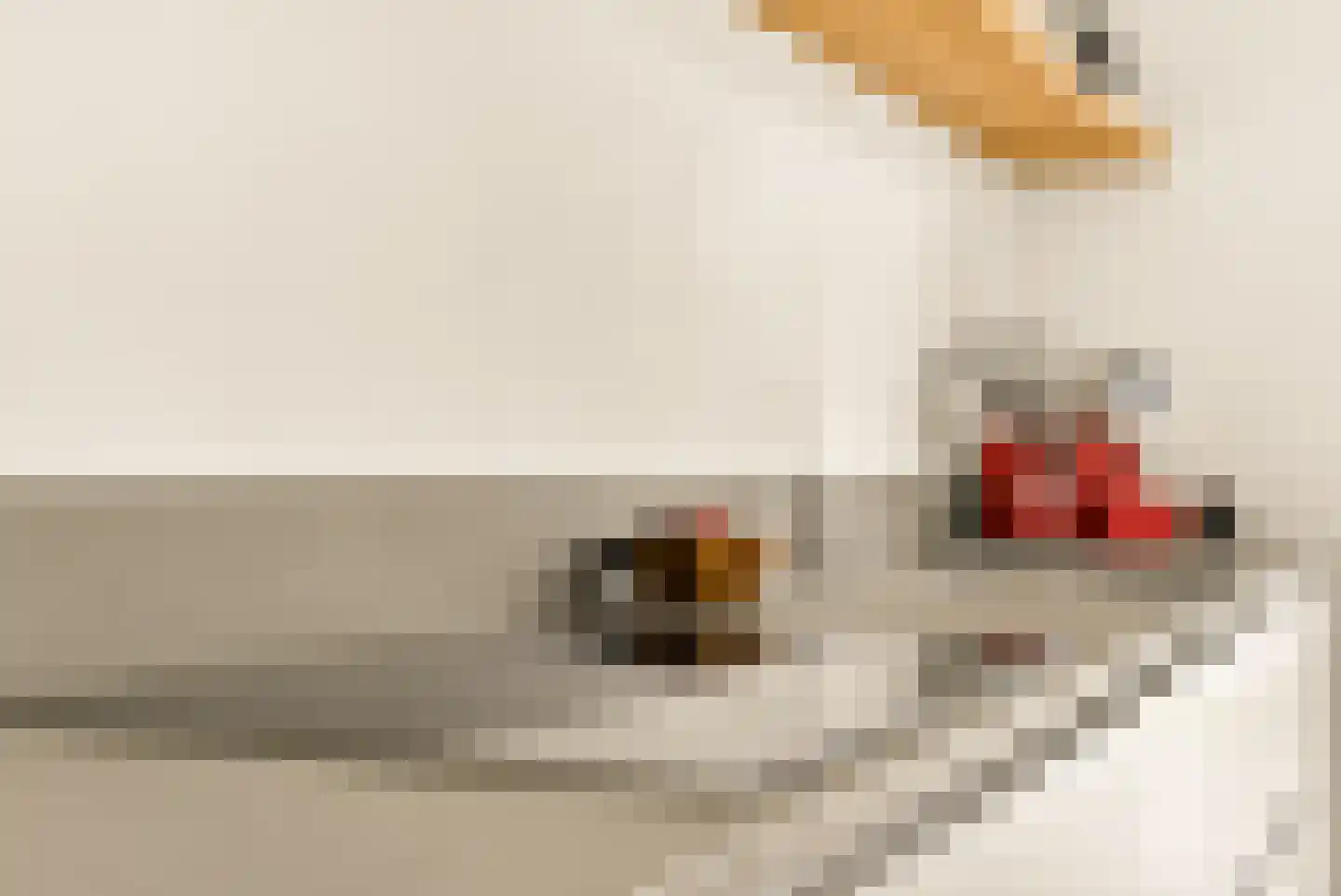 Max de Haasstraat 7 Amsterdam thumbnail 12