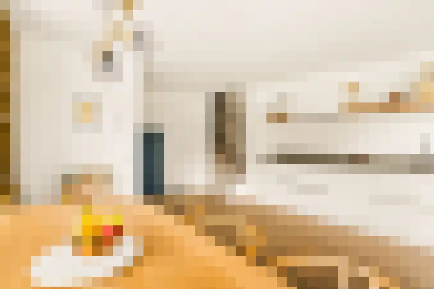 Max de Haasstraat 7 Amsterdam thumbnail 13