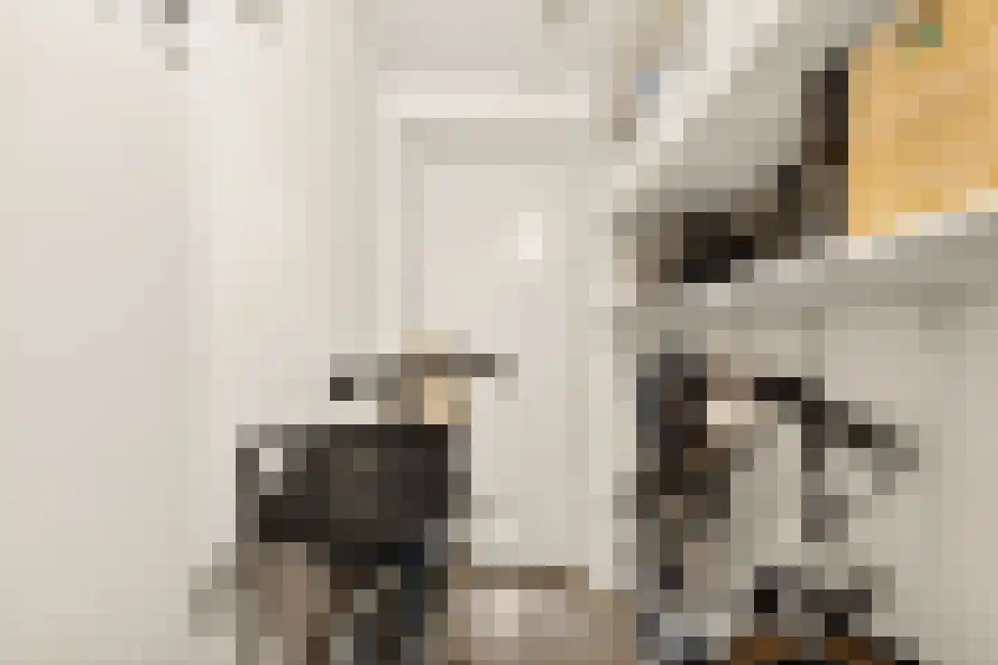 Max de Haasstraat 7 Amsterdam thumbnail 15
