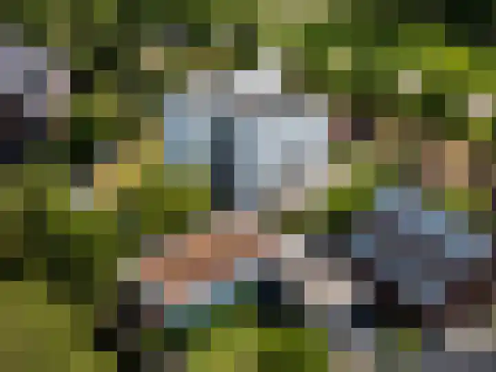 Max Ernstlaan 8 Utrecht thumbnail 11