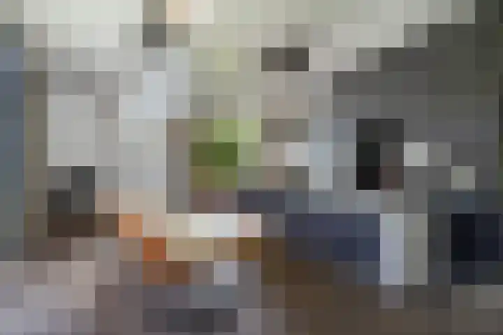 Max Ernstlaan 8 Utrecht thumbnail 27