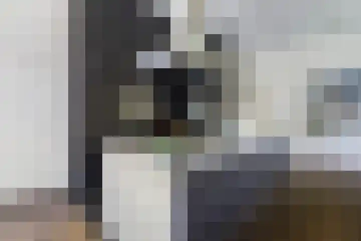 Max Ernstlaan 8 Utrecht thumbnail 31