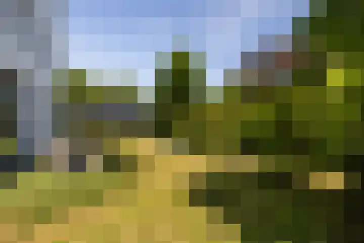 Max Ernstlaan 8 Utrecht thumbnail 34
