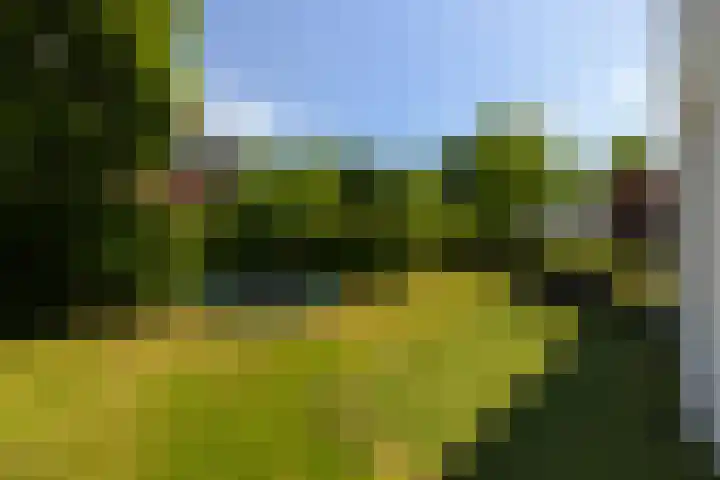 Max Ernstlaan 8 Utrecht thumbnail 37