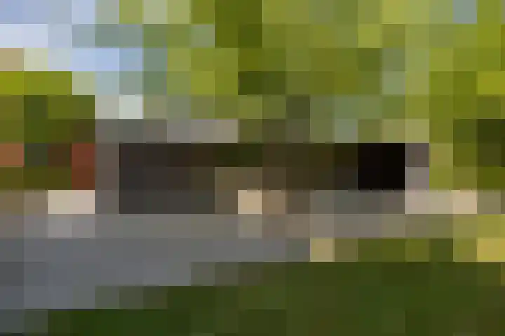 Max Ernstlaan 8 Utrecht thumbnail 38