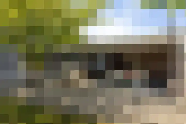 Max Ernstlaan 8 Utrecht thumbnail 39