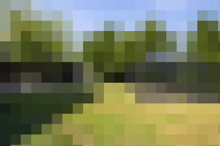 Max Ernstlaan 8 Utrecht thumbnail 41