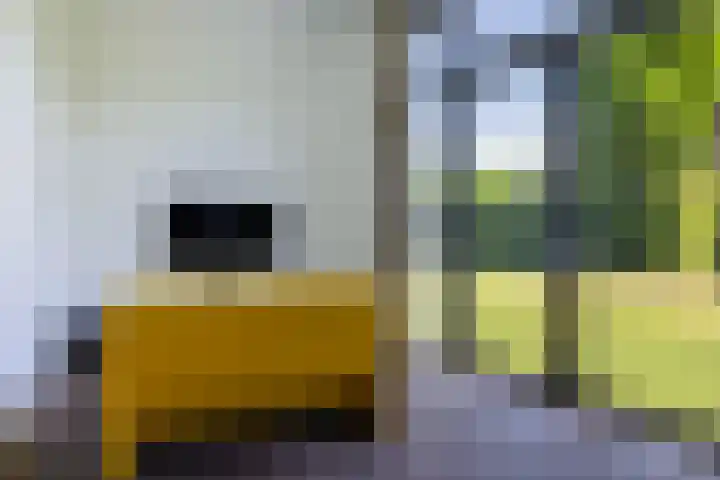Max Ernstlaan 8 Utrecht thumbnail 45