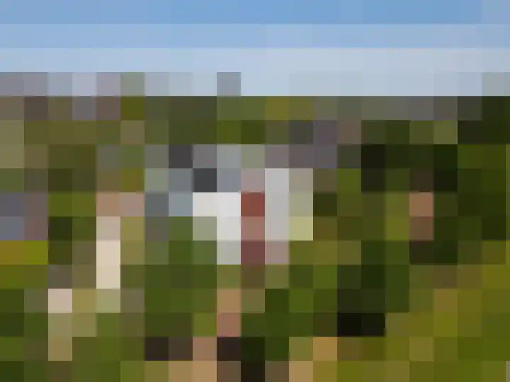 Max Ernstlaan 8 Utrecht thumbnail 5