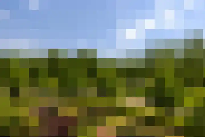 Max Ernstlaan 8 Utrecht thumbnail 66