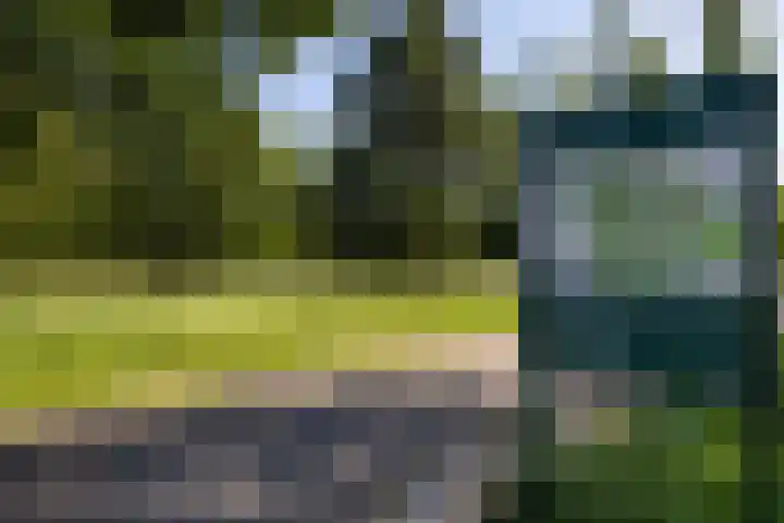 Max Ernstlaan 8 Utrecht thumbnail 74