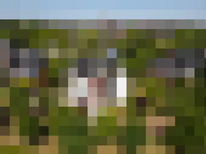Max Ernstlaan 8 Utrecht thumbnail 8