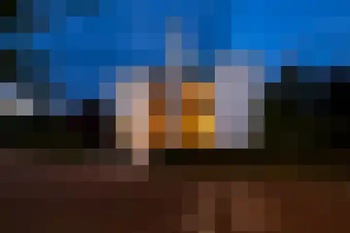 Max Ernstlaan 8 Utrecht thumbnail 81