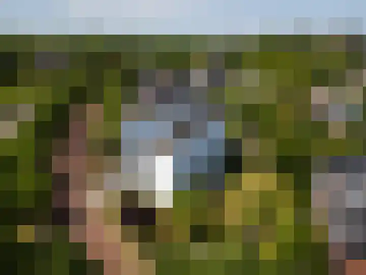 Max Ernstlaan 8 Utrecht thumbnail 9