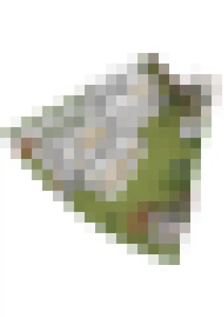 Max Ernstlaan 8 Utrecht thumbnail 92