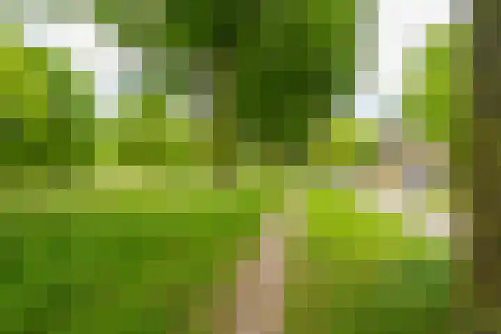 Max Ernststraat 64 Almere thumbnail 39