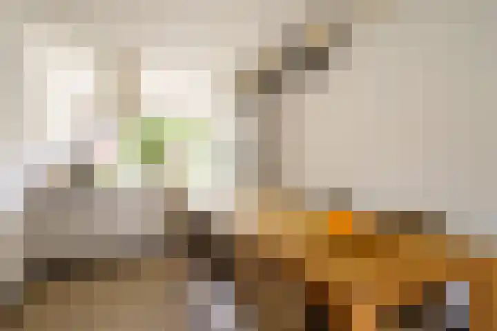 Max Ernststraat 64 Almere thumbnail 8