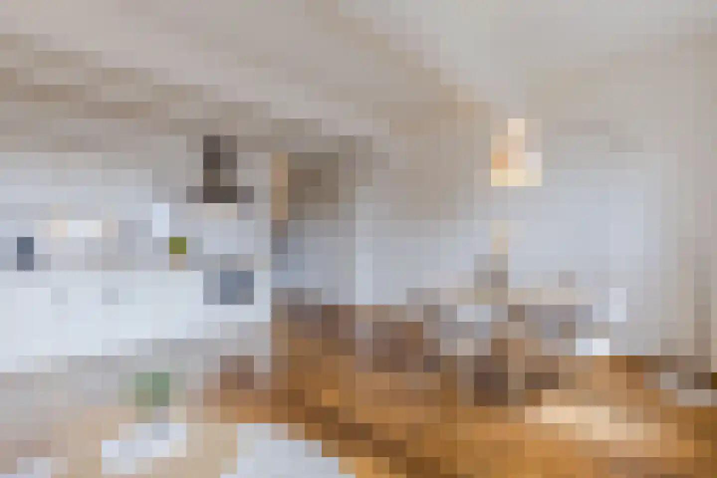 Max Euweplein 19 Haarlem thumbnail 13