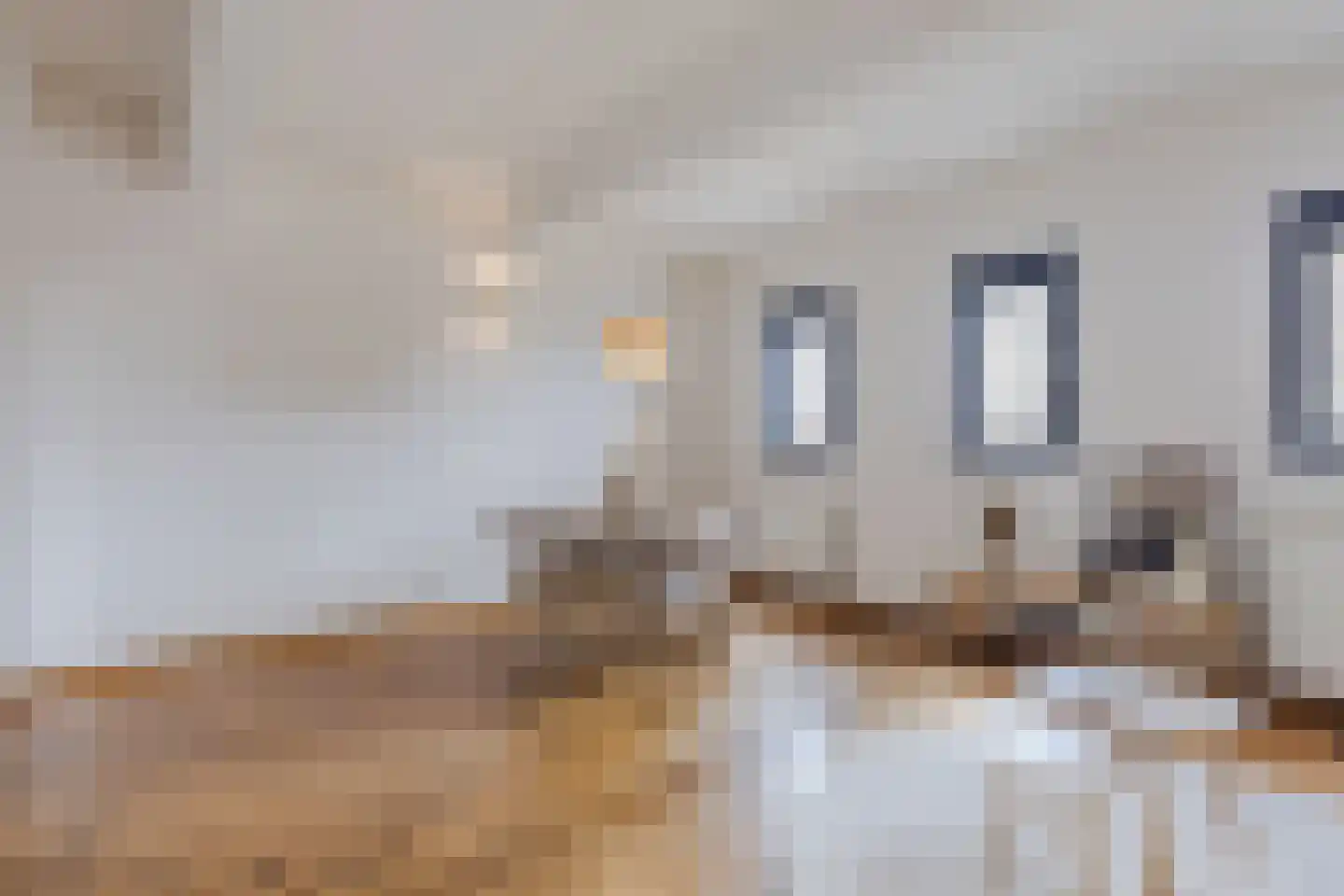 Max Euweplein 19 Haarlem thumbnail 17