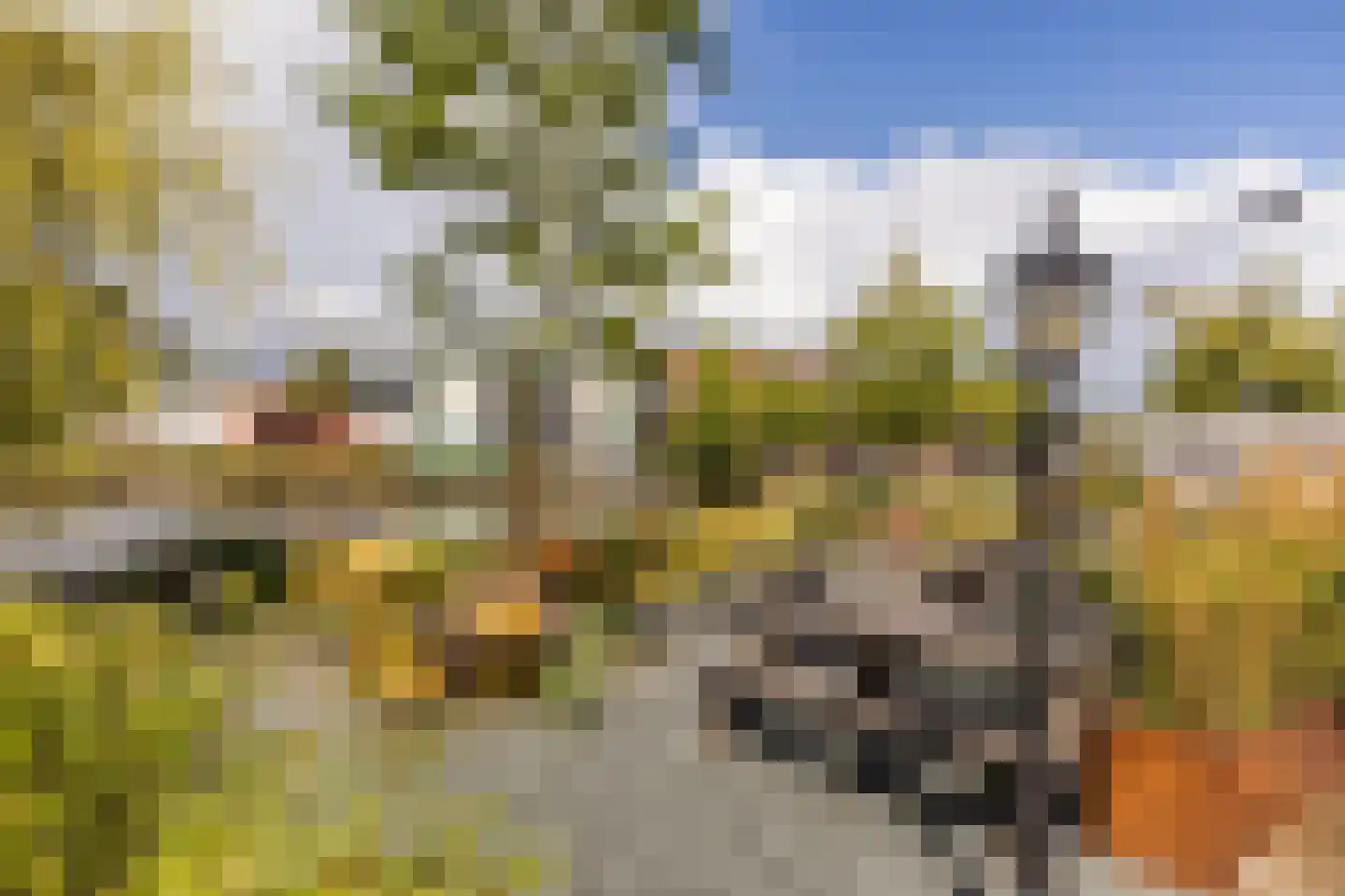 Max Euweplein 19 Haarlem thumbnail 27