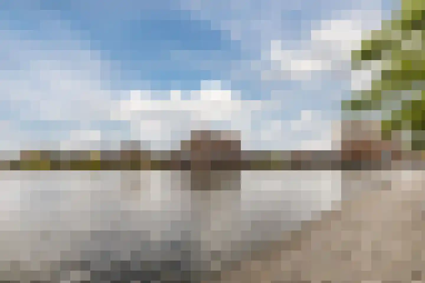 Max Euweplein 19 Haarlem thumbnail 4
