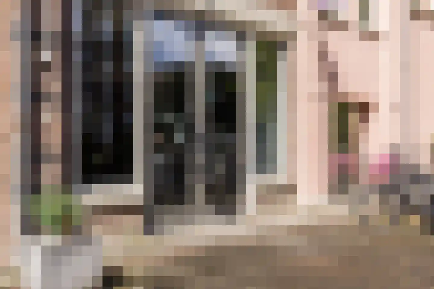 Max Euweplein 19 Haarlem thumbnail 5