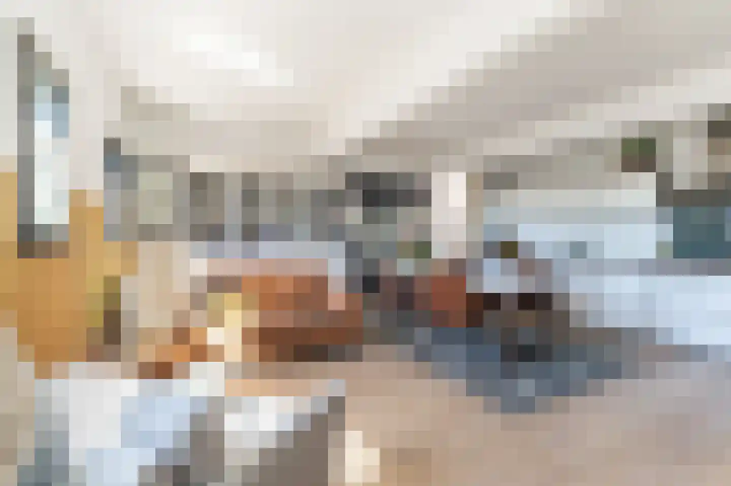 Max Euweplein 28 Haarlem thumbnail 11