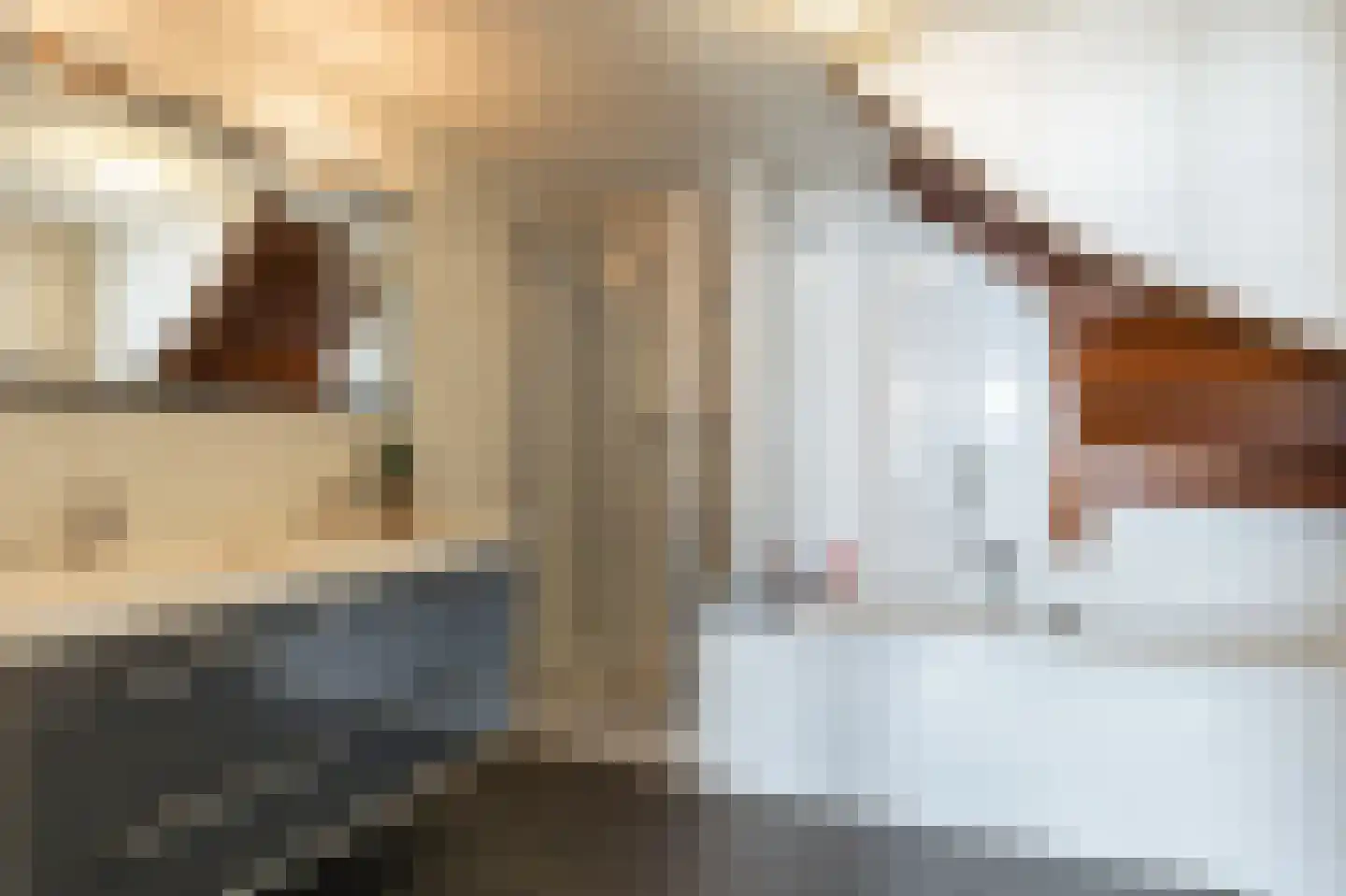 Max Euweplein 28 Haarlem thumbnail 21