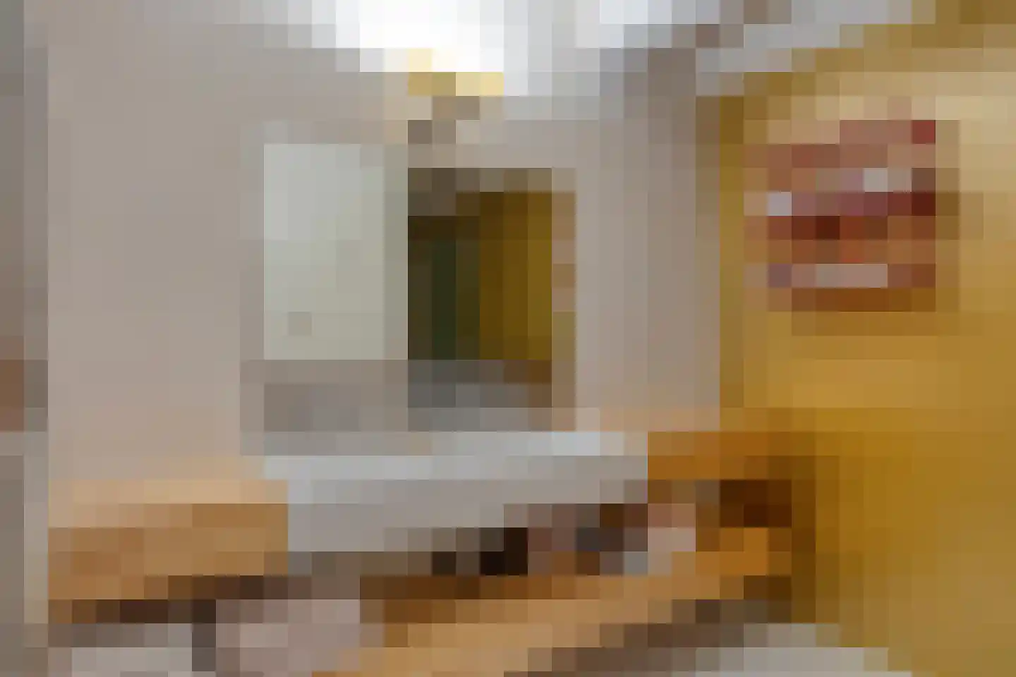 Max Euweplein 30 Haarlem thumbnail 39