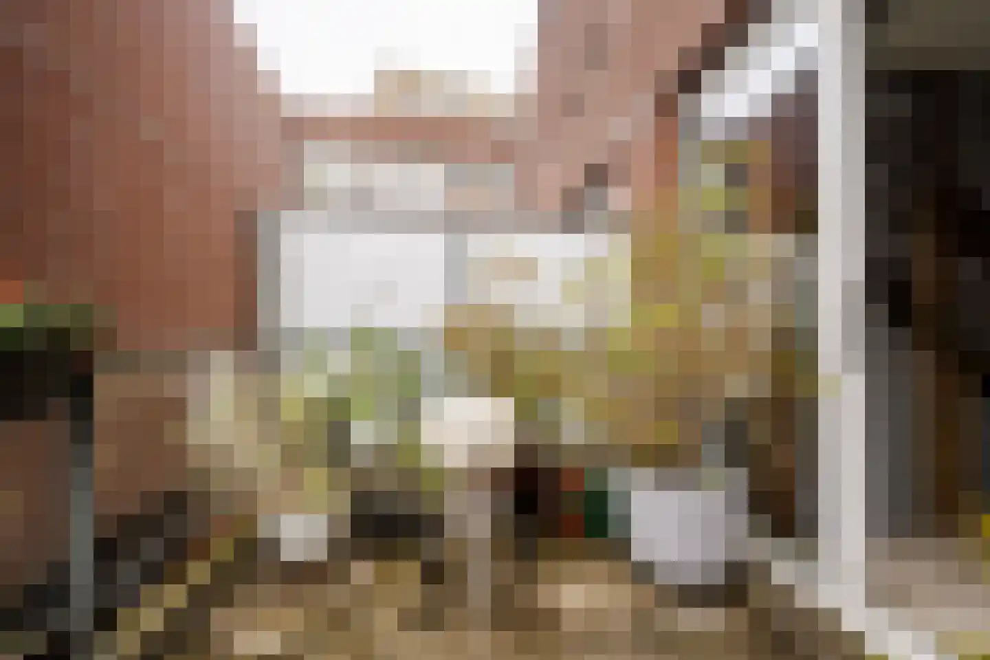 Max Euweplein 48 Haarlem thumbnail 19