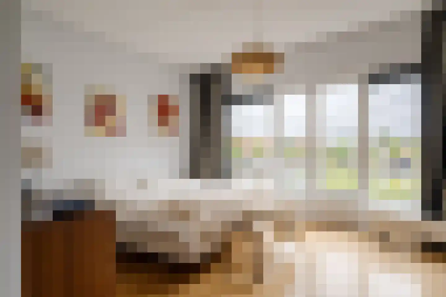 Max Euweplein 48 Haarlem thumbnail 37