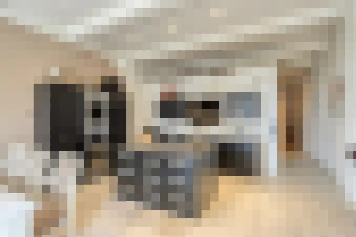 Max Euweplein 6 Haarlem thumbnail 32