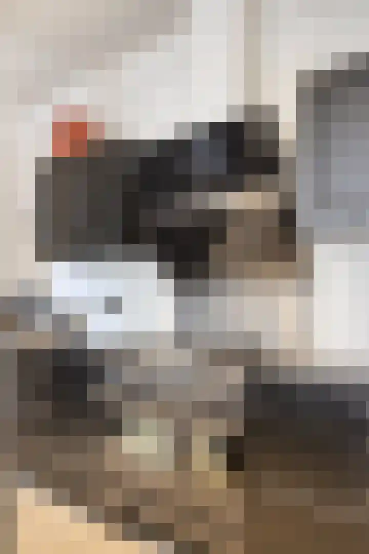 Max Euweplein 6 Haarlem thumbnail 35