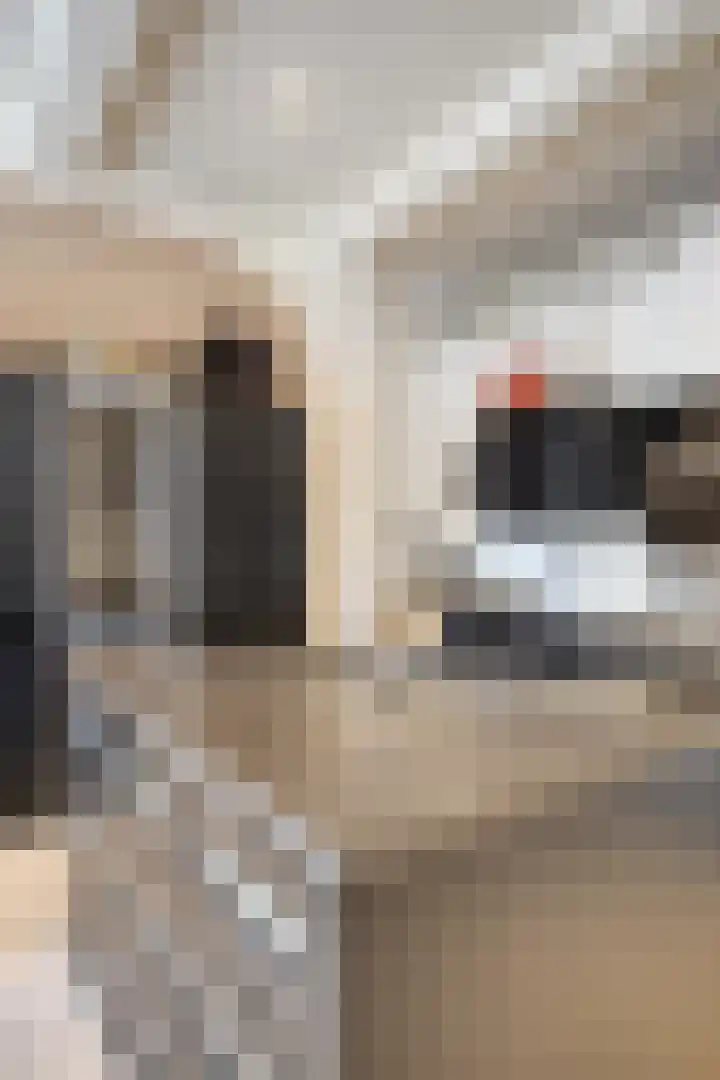 Max Euweplein 6 Haarlem thumbnail 36