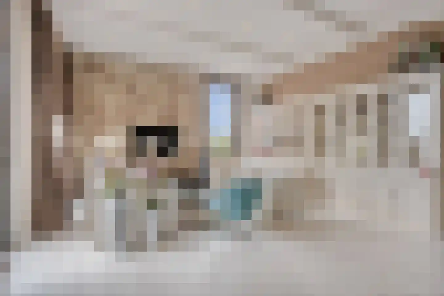 Max Euweplein 6 Haarlem thumbnail 5