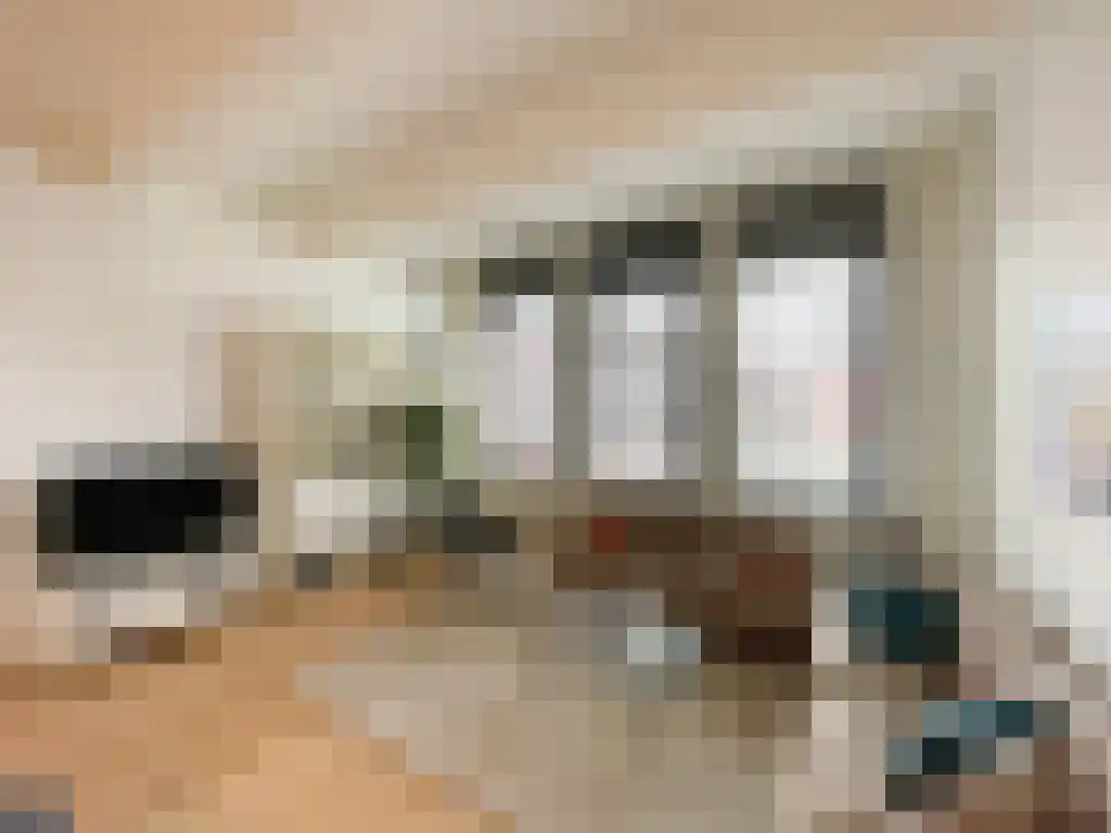 Max Euweplein 7 Haarlem thumbnail 4