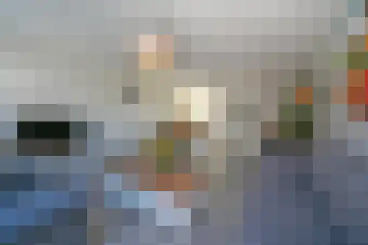 Max Euwesingel 7 Alphen aan den Rijn thumbnail 11