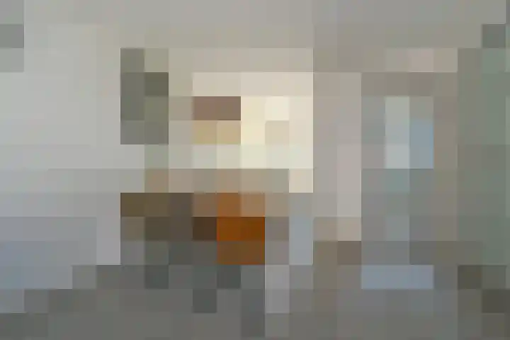 Max Euwesingel 7 Alphen aan den Rijn thumbnail 13