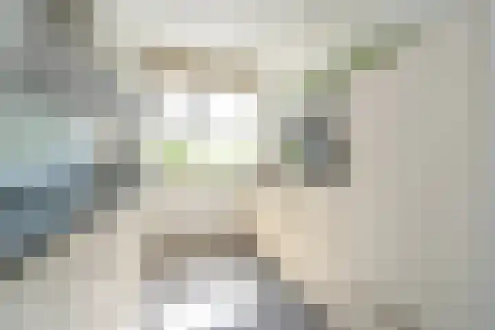 Max Euwesingel 7 Alphen aan den Rijn thumbnail 15
