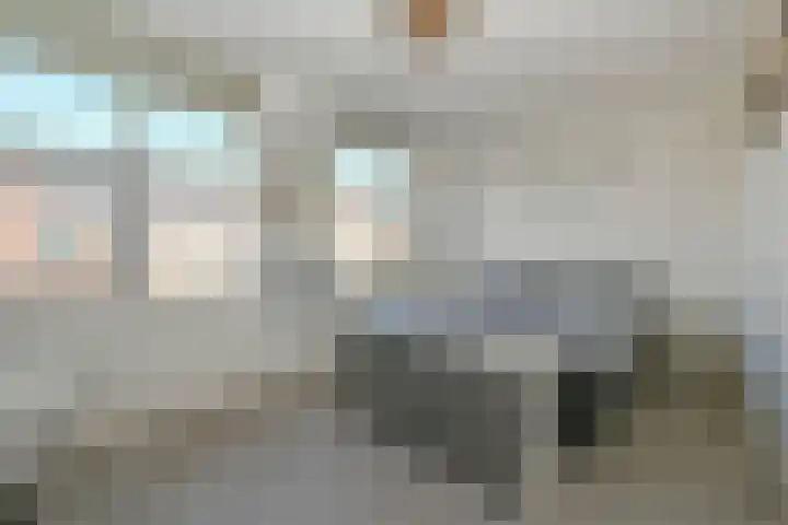 Max Euwesingel 7 Alphen aan den Rijn thumbnail 20