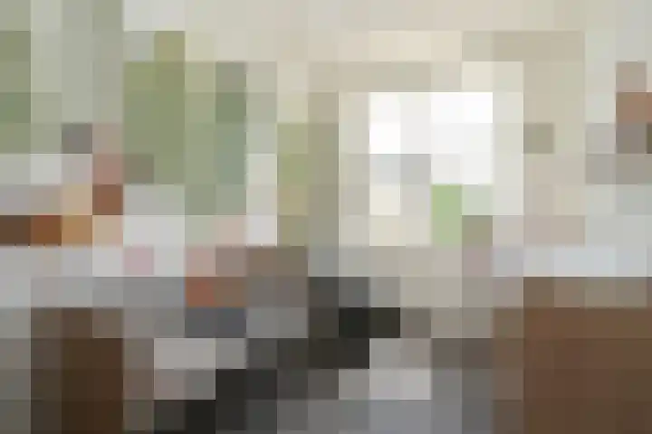 Max Euwesingel 7 Alphen aan den Rijn thumbnail 22