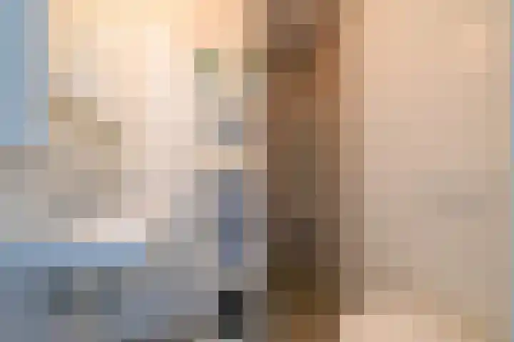 Max Euwesingel 7 Alphen aan den Rijn thumbnail 26