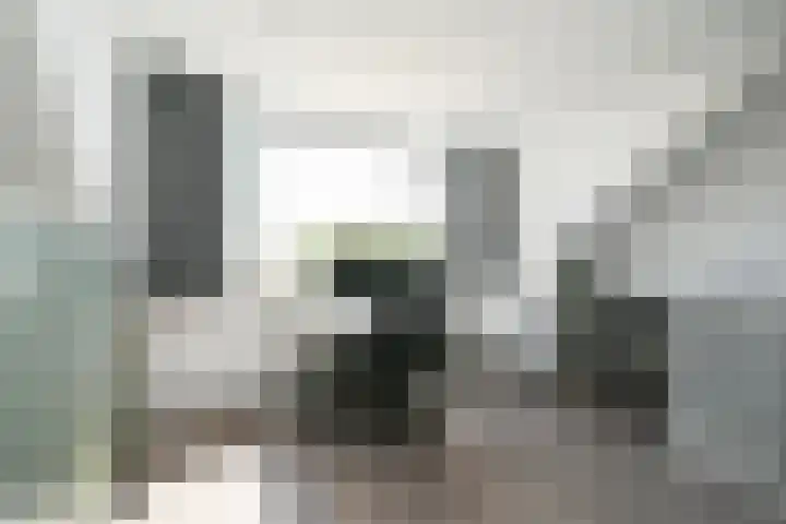 Max Euwesingel 7 Alphen aan den Rijn thumbnail 31