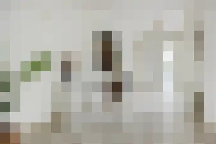 Max Euwestraat 21 Rosmalen thumbnail 11